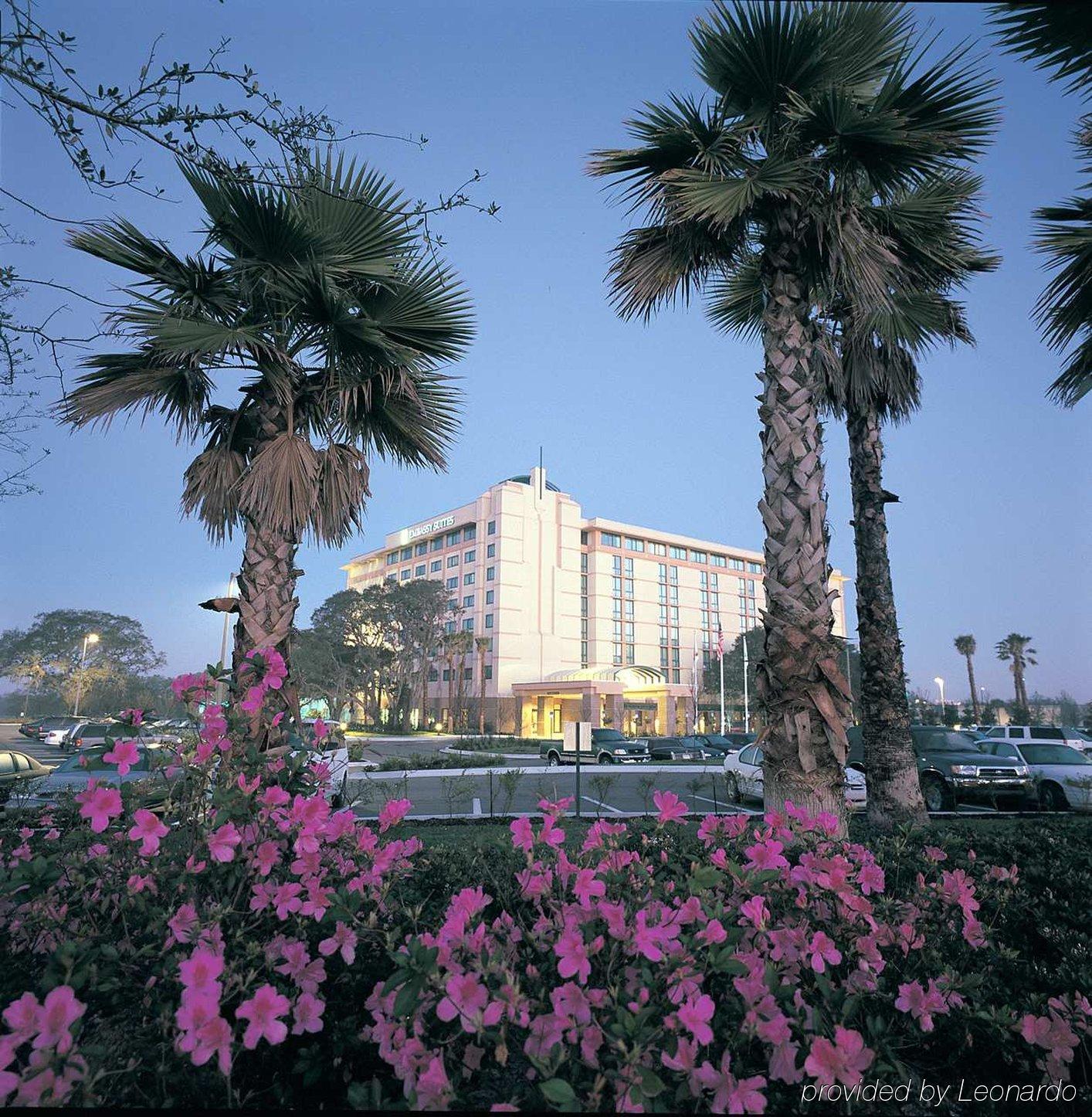 Embassy Suites By Hilton Tampa Usf Near Busch Gardens Exterior foto
